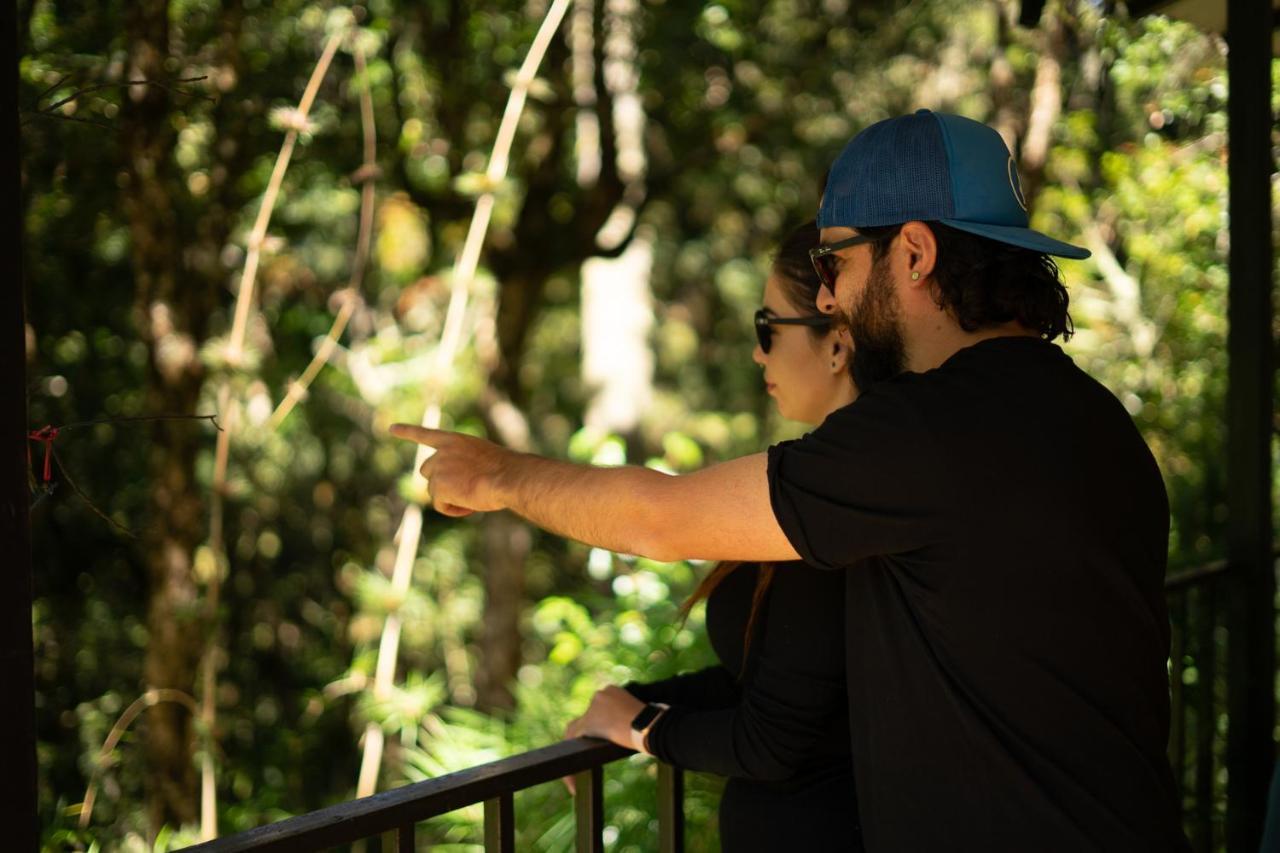 Dantica Cloud Forest Lodge San Gerardo de Dota Exterior photo