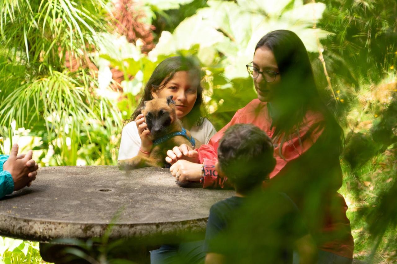 Dantica Cloud Forest Lodge San Gerardo de Dota Exterior photo