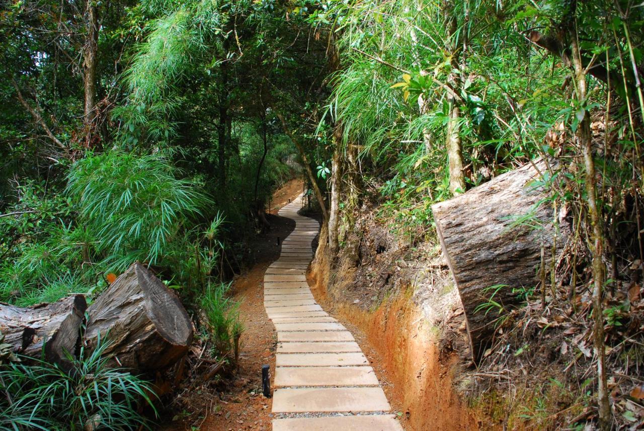 Dantica Cloud Forest Lodge San Gerardo de Dota Exterior photo