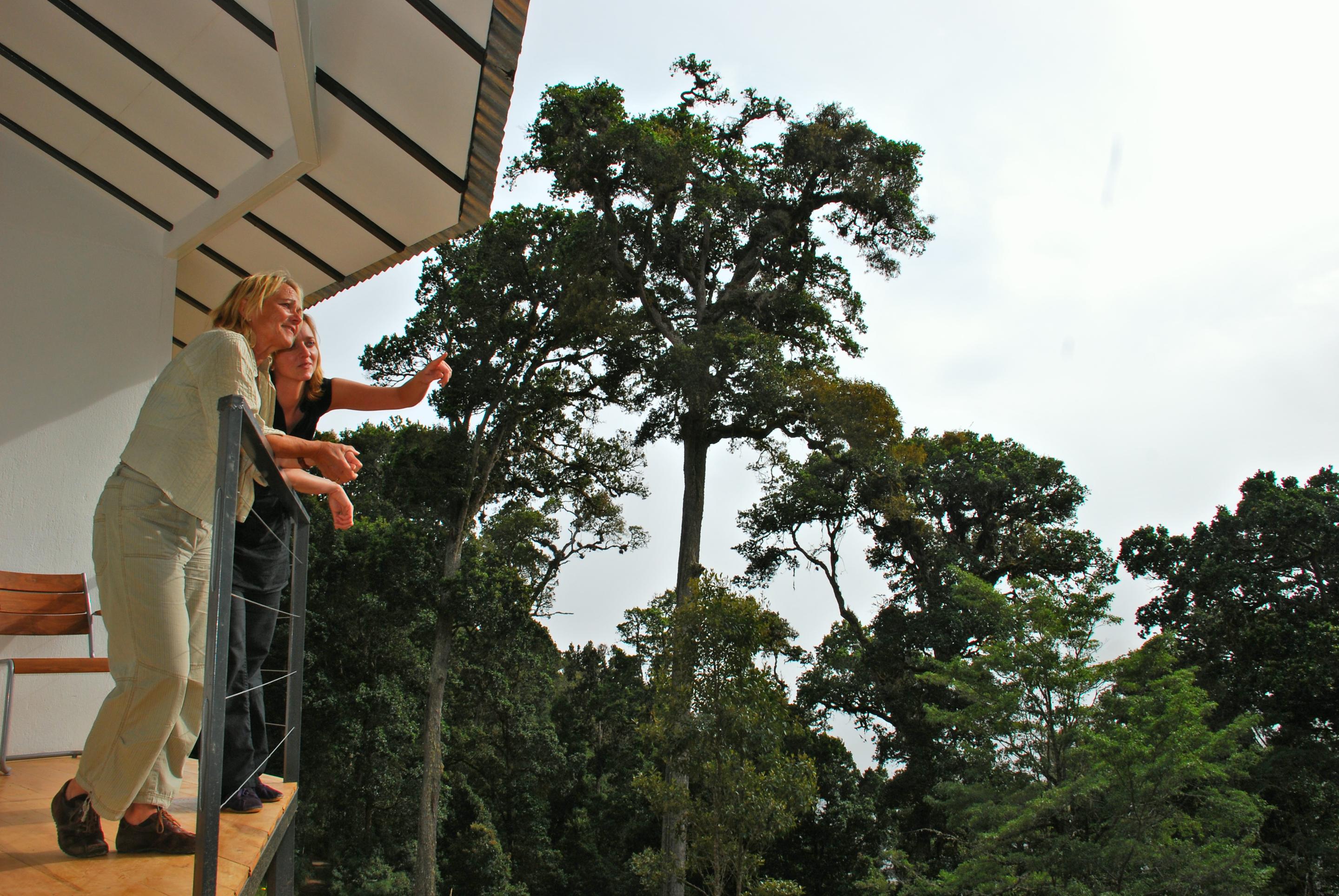 Dantica Cloud Forest Lodge San Gerardo de Dota Exterior photo
