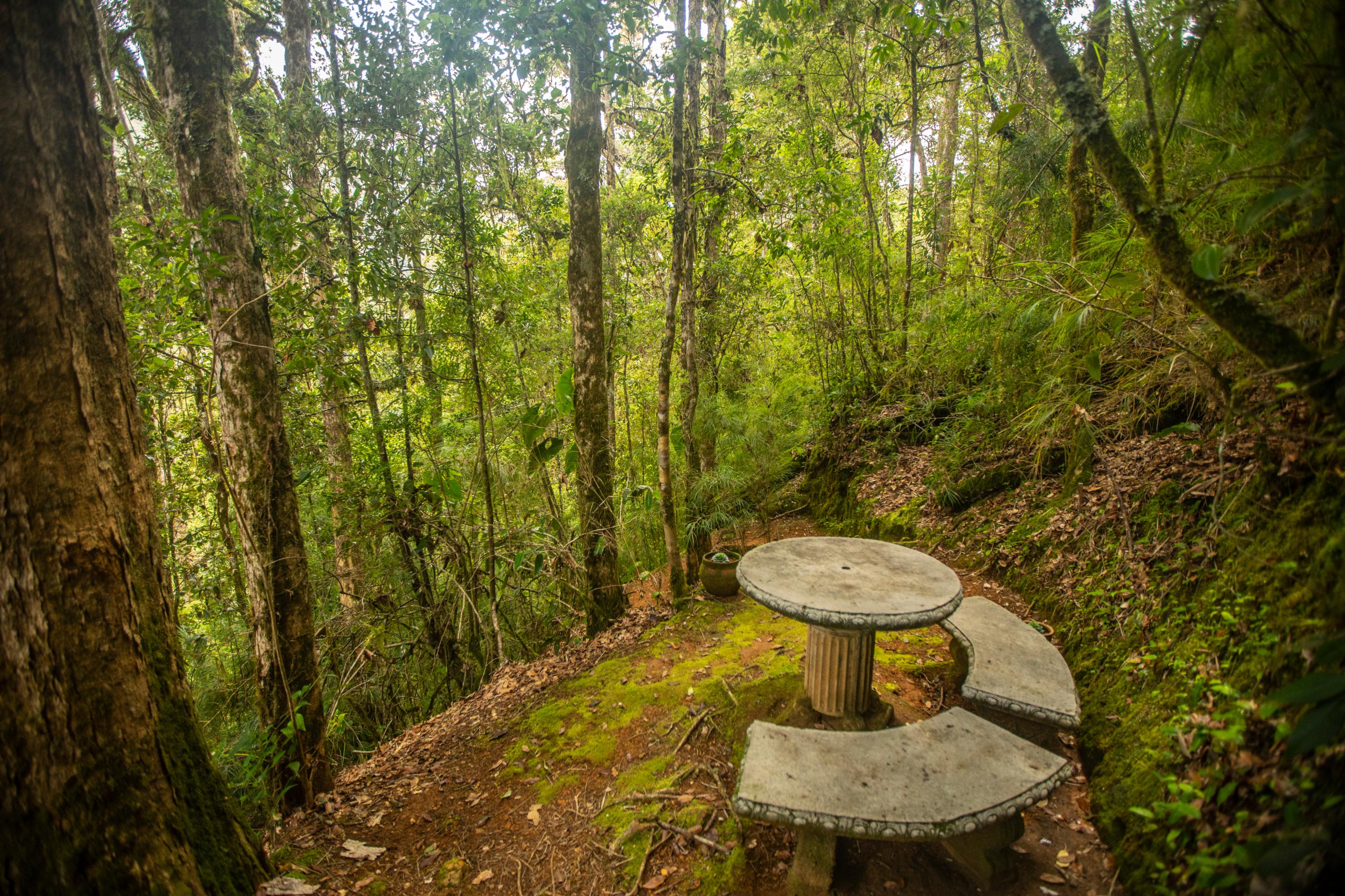 Dantica Cloud Forest Lodge San Gerardo de Dota Exterior photo