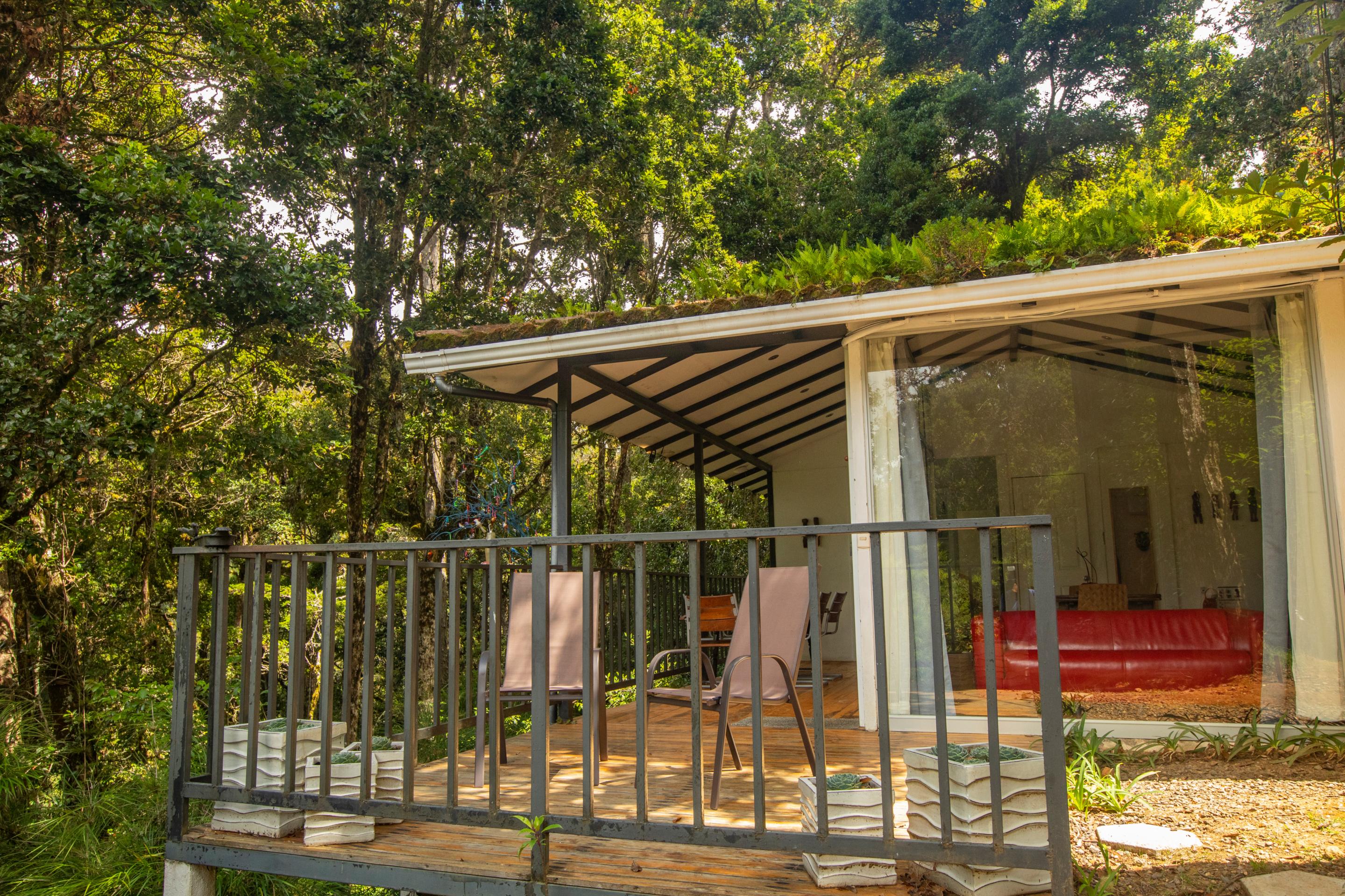 Dantica Cloud Forest Lodge San Gerardo de Dota Exterior photo