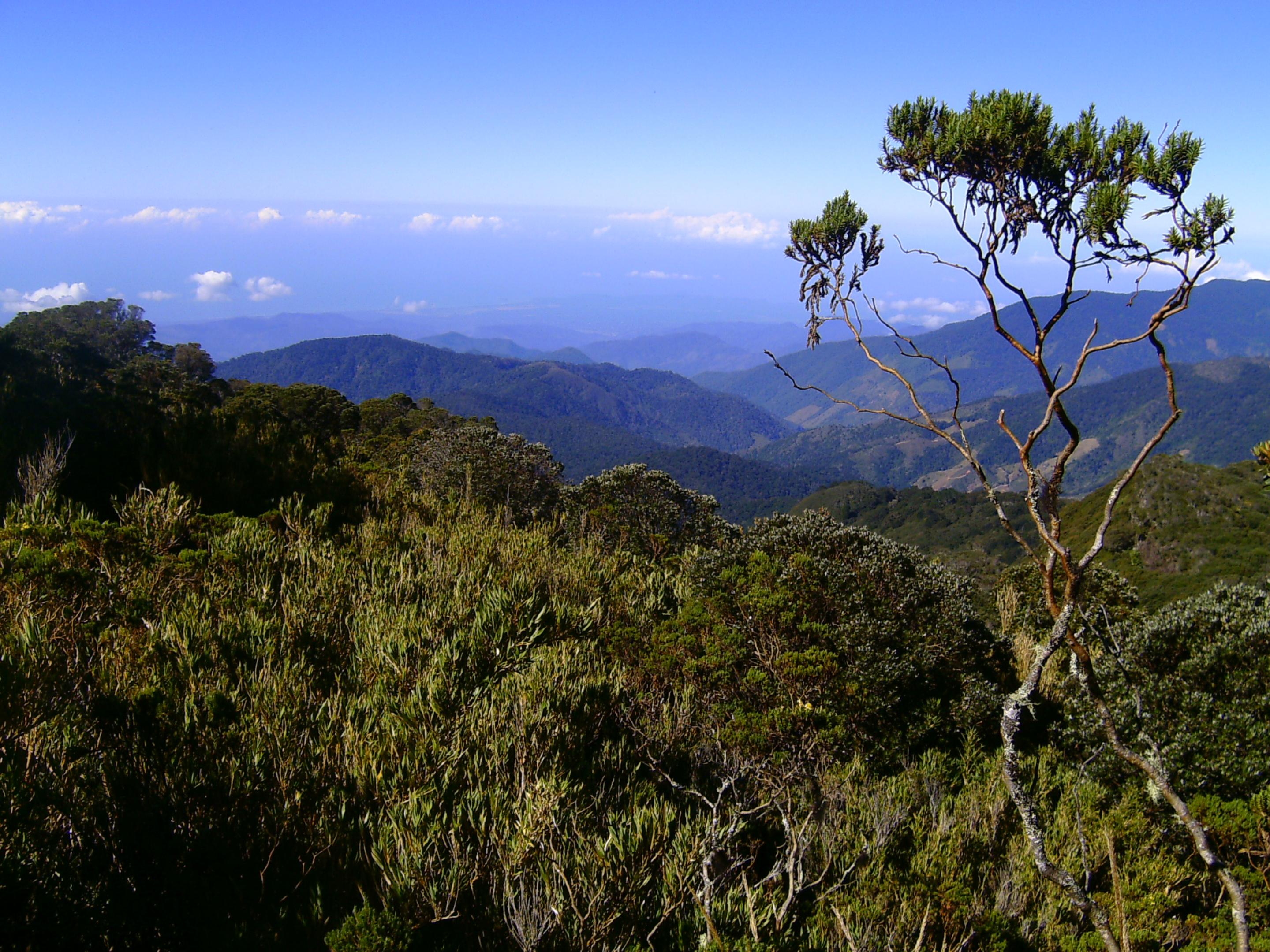 Dantica Cloud Forest Lodge San Gerardo de Dota Exterior photo