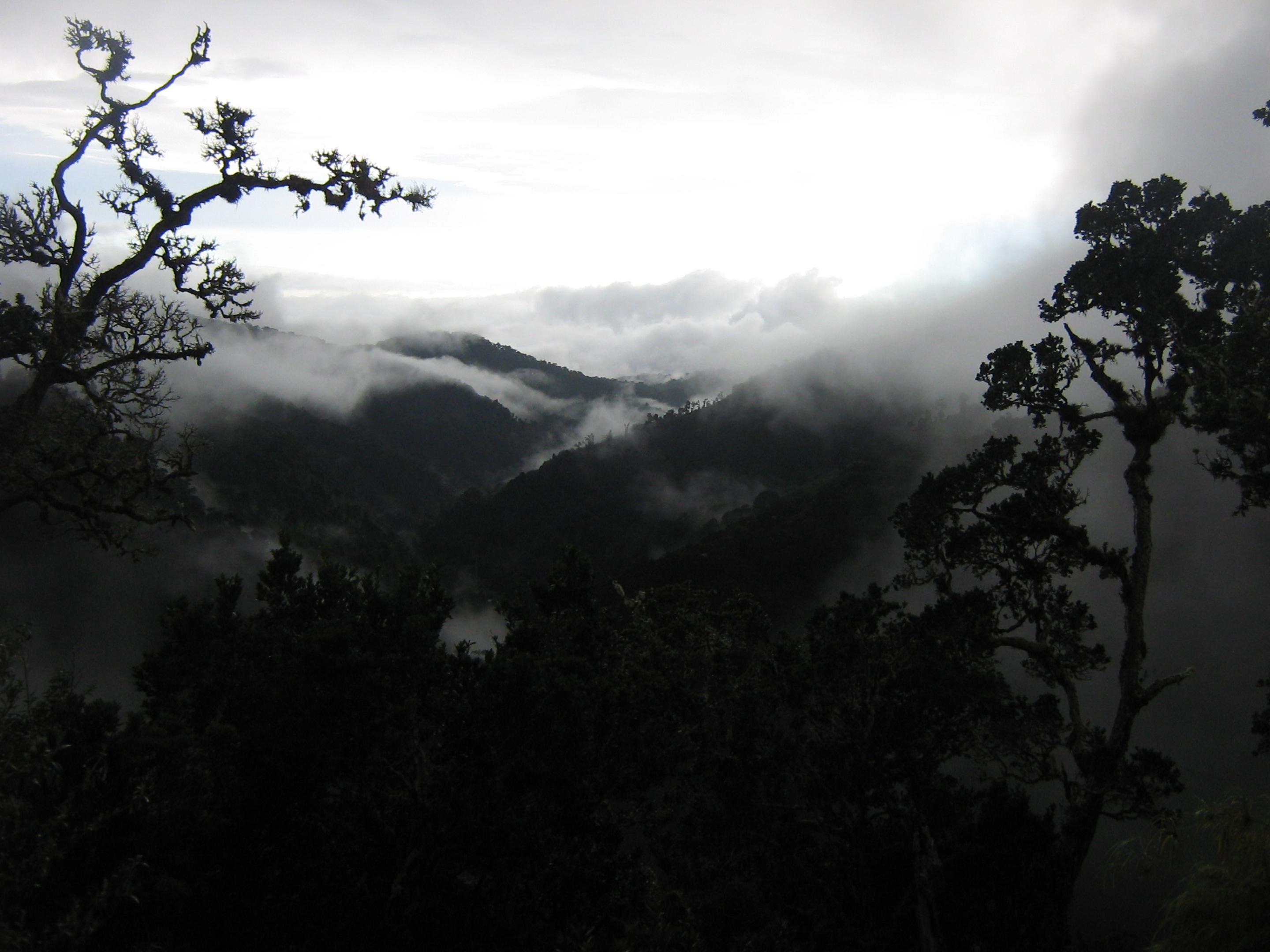 Dantica Cloud Forest Lodge San Gerardo de Dota Exterior photo
